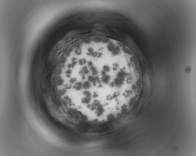 X0000112370765200909101321