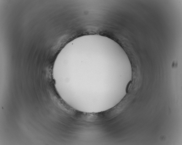 X0000112370768200909101321