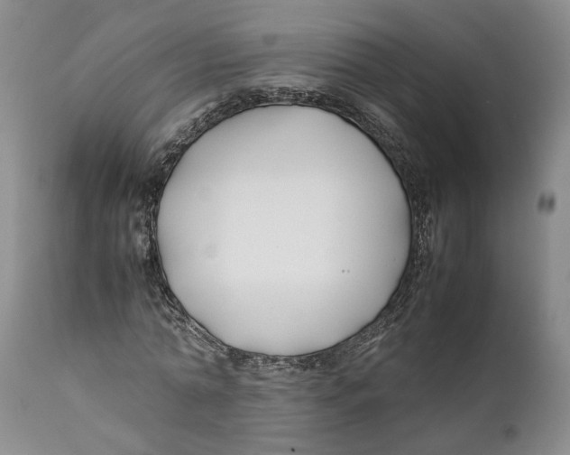 X0000112370774200909101320