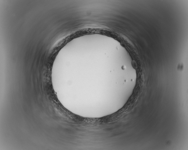 X0000112370775200909101320