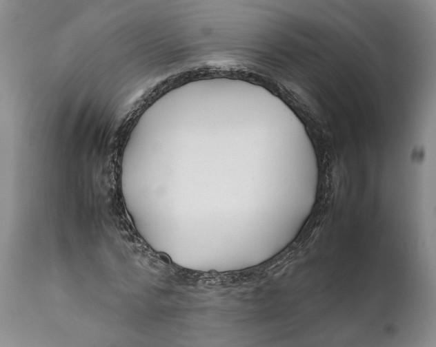 X0000112370776200909101320