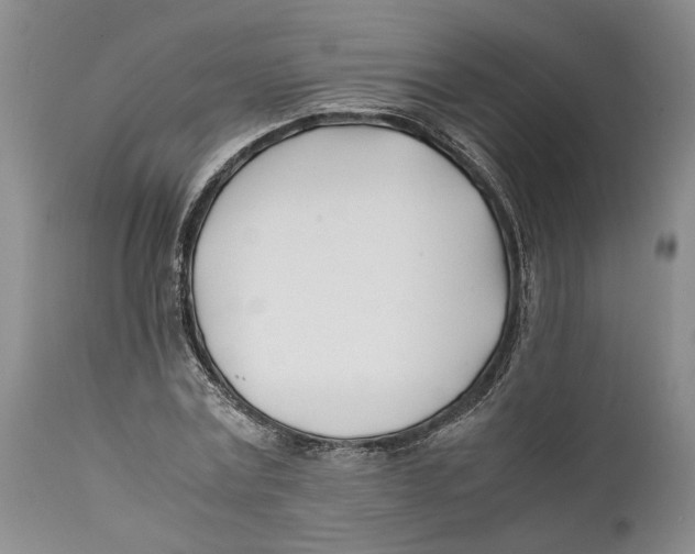 X0000112370779200909101320