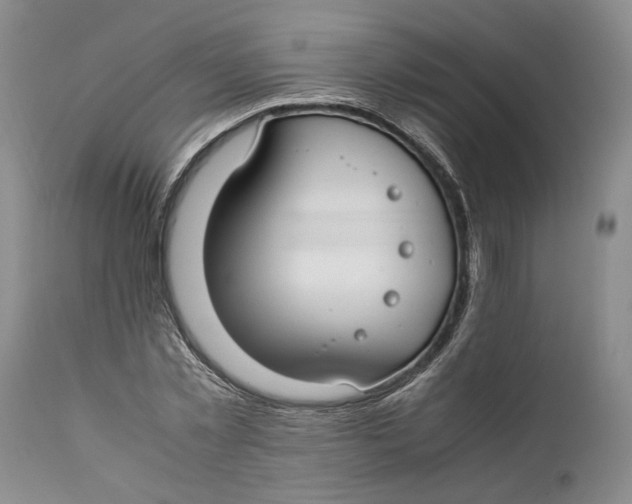 X0000112370781200909101320