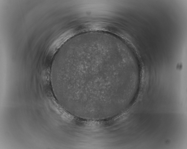 X0000112370785200909101320