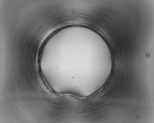X0000112370788200909101320
