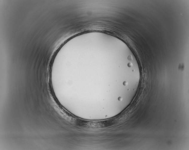 X0000112370795200909101320