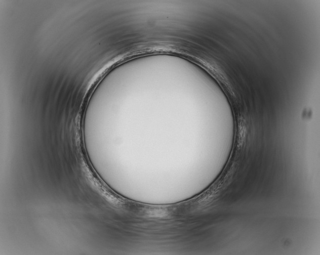 X0000112370798200909101320