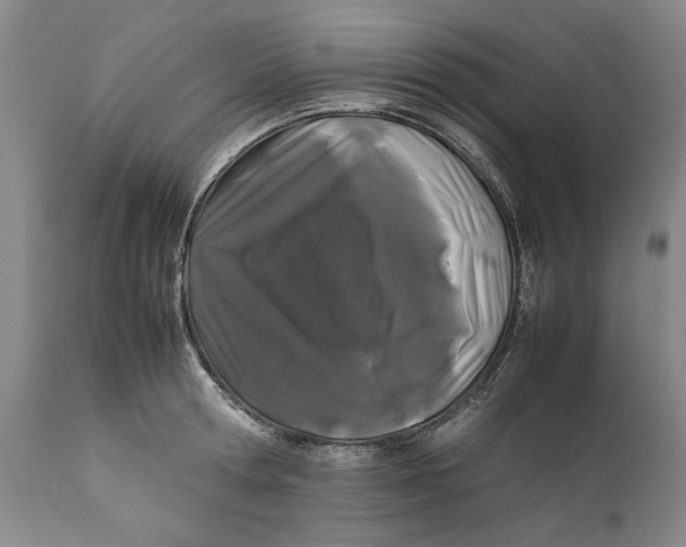 X0000112370802200909101320