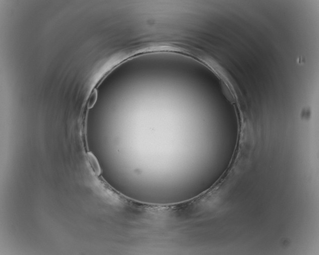 X0000112370813200909101320