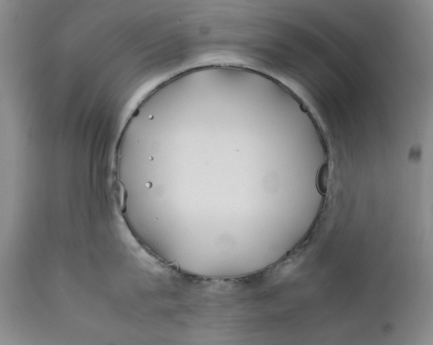 X0000112370815200909101320