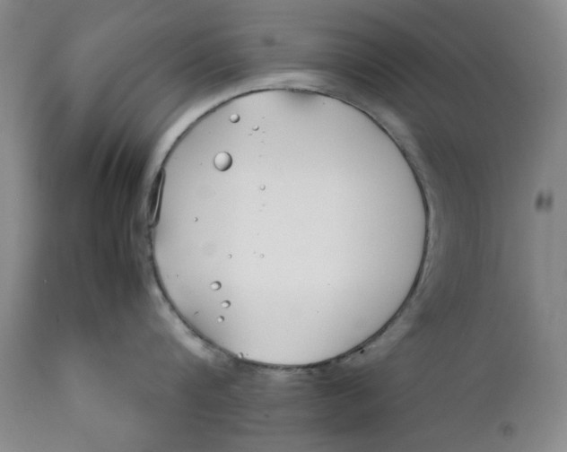 X0000112370816200909101320