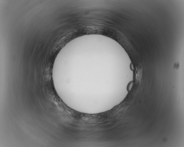X0000112370819200909101319