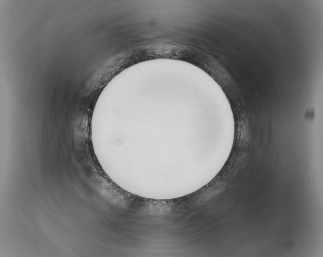X0000112370820200909101319