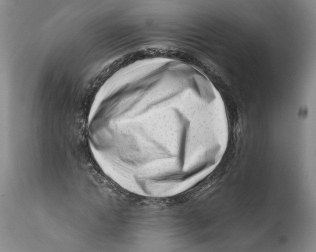 X0000112370822200909101319