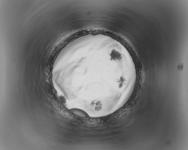 X0000112370823200909101319