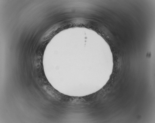 X0000112370824200909101319