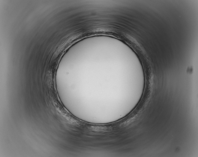 X0000112370825200909101319