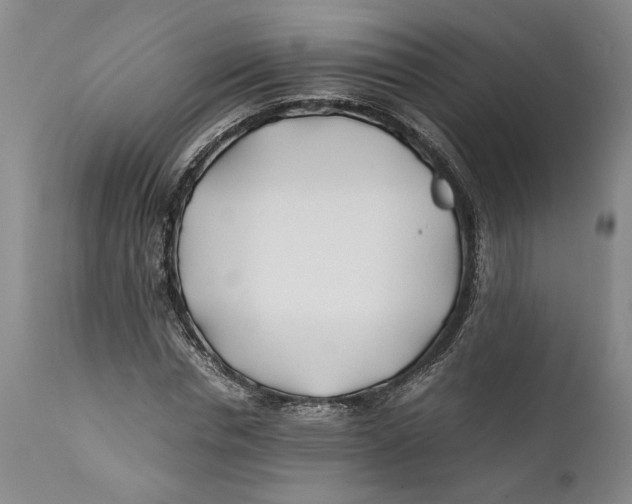 X0000112370826200909101319