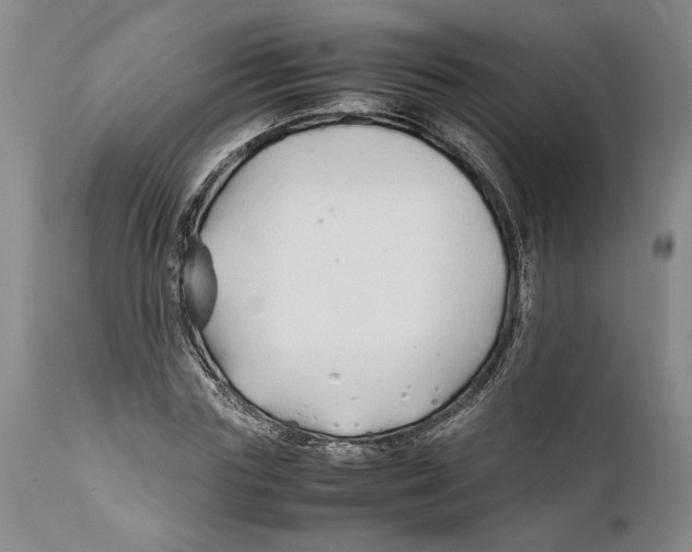 X0000112370827200909101319