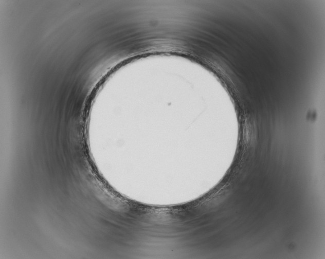 X0000112370828200909101319