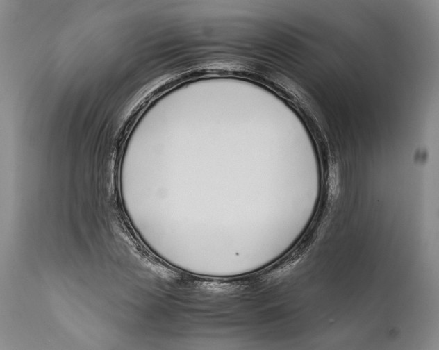 X0000112370829200909101319