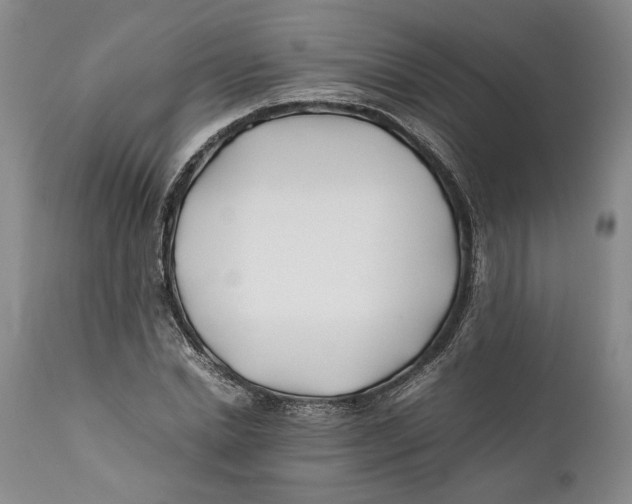X0000112370830200909101319