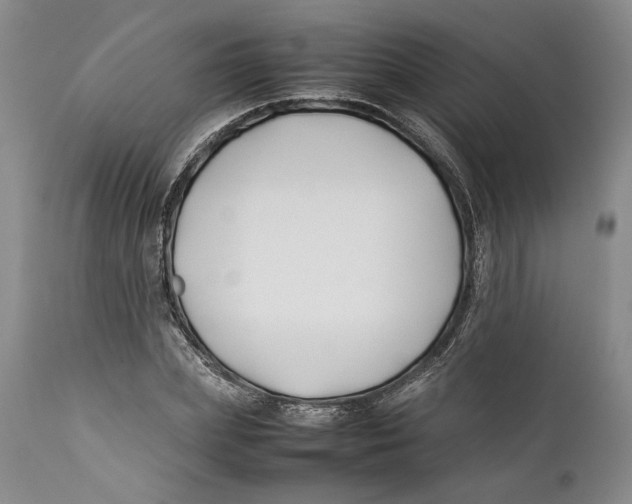 X0000112370831200909101319