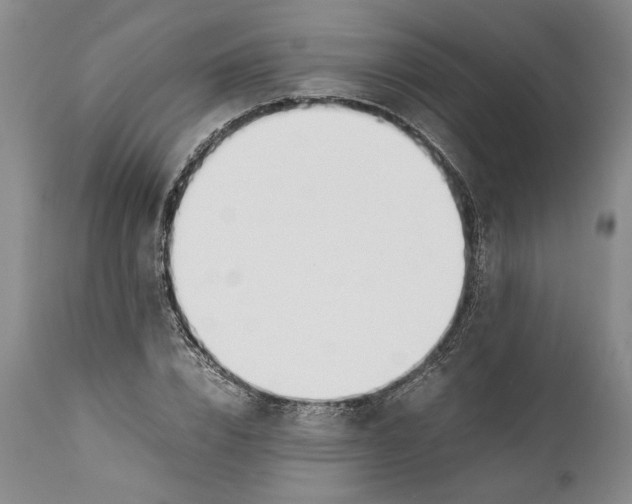 X0000112370832200909101319