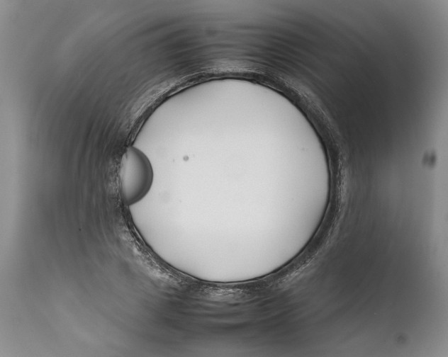 X0000112370833200909101319