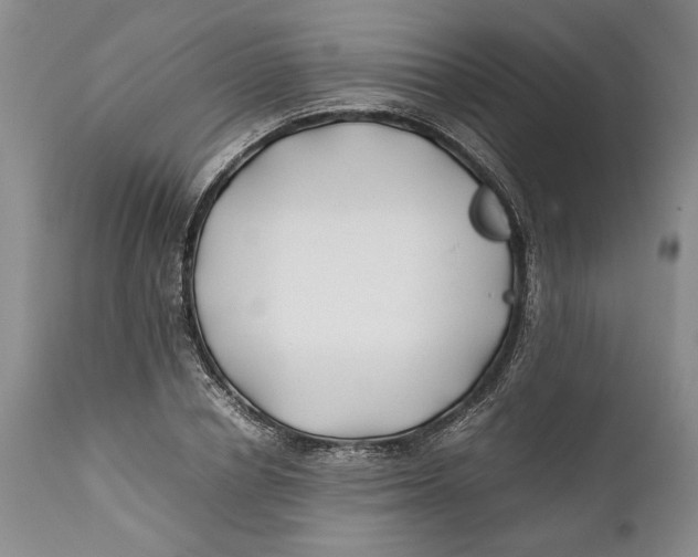X0000112370834200909101319