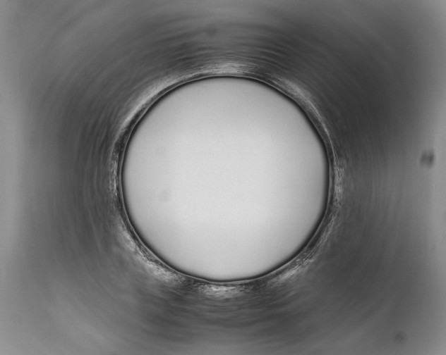 X0000112370835200909101319