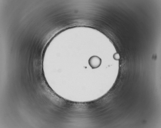 X0000112370836200909101319