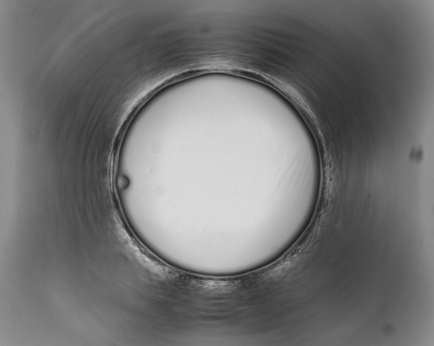 X0000112370839200909101319