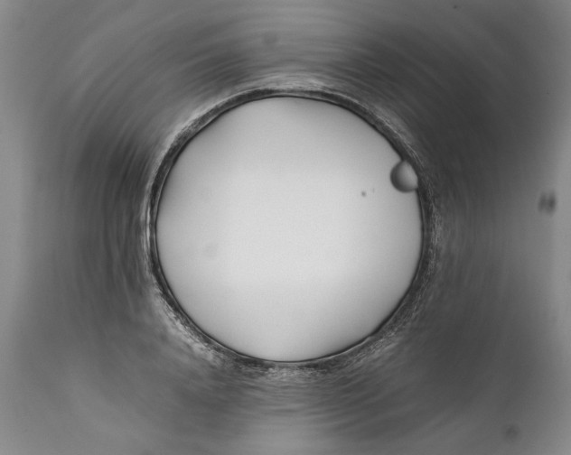 X0000112370840200909101319