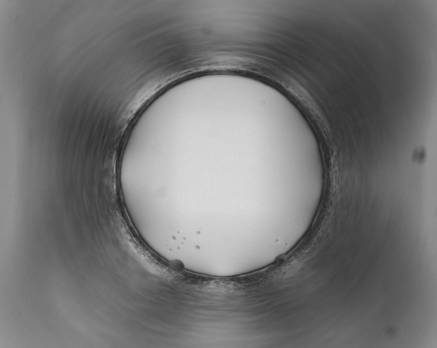 X0000112370842200909101319