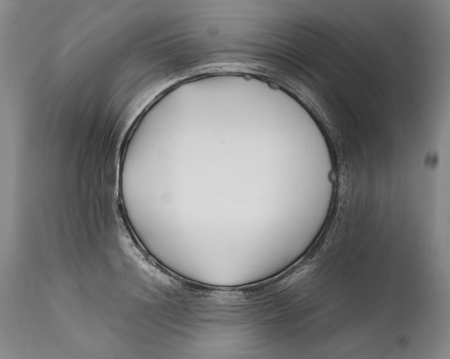 X0000112370844200909101319