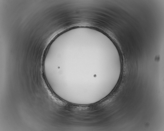 X0000112370845200909101319