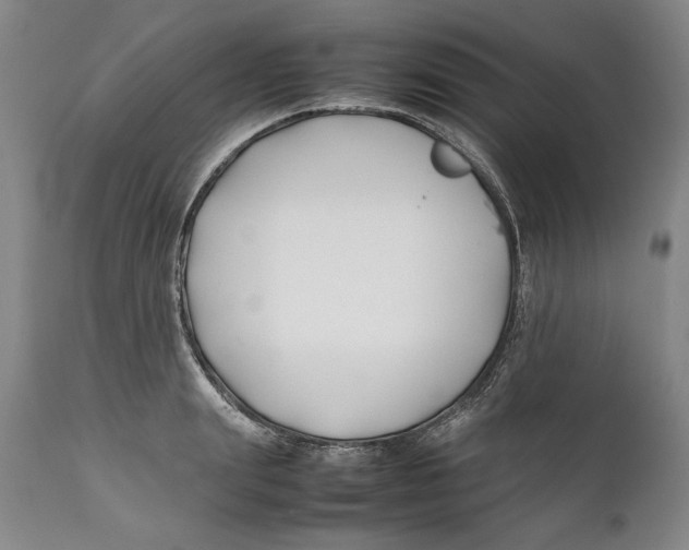 X0000112370847200909101319