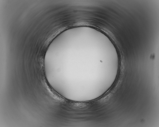 X0000112370849200909101319