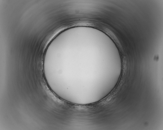 X0000112370852200909101319