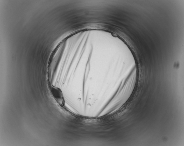 X0000112370853200909101319