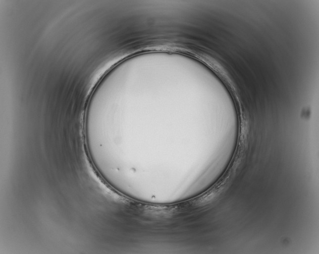 X0000112370855200909101319