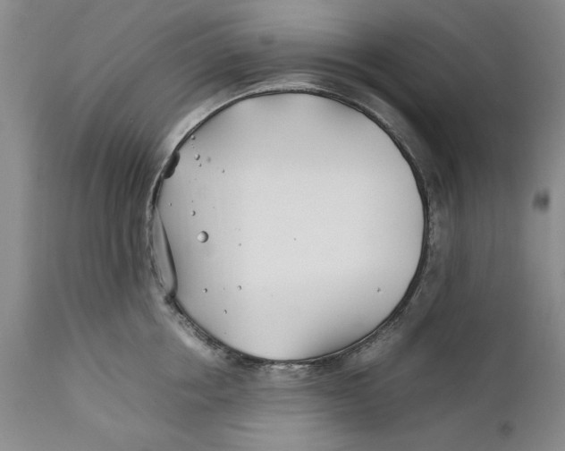 X0000112370858200909101320