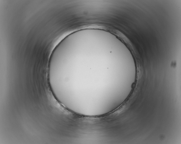 X0000112370860200909101320