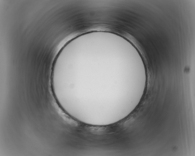 X0000112370861200909101320