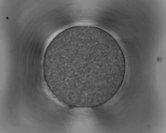 X0000112370864200909101320