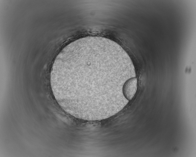 X0000112370865200909101319