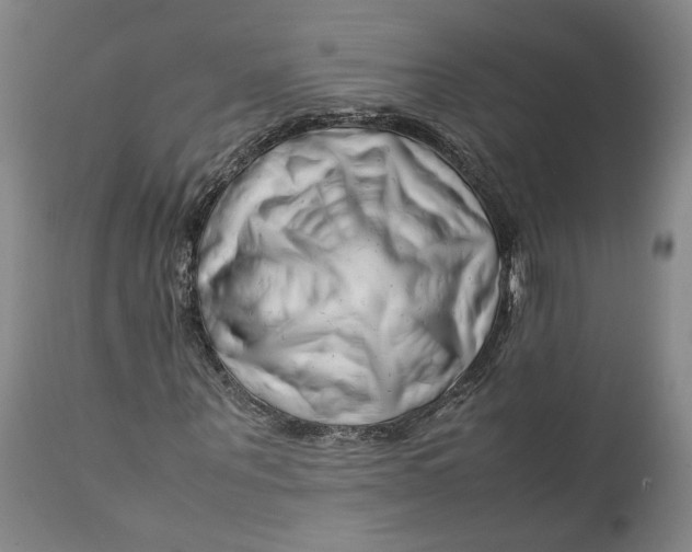 X0000112370867200909101319