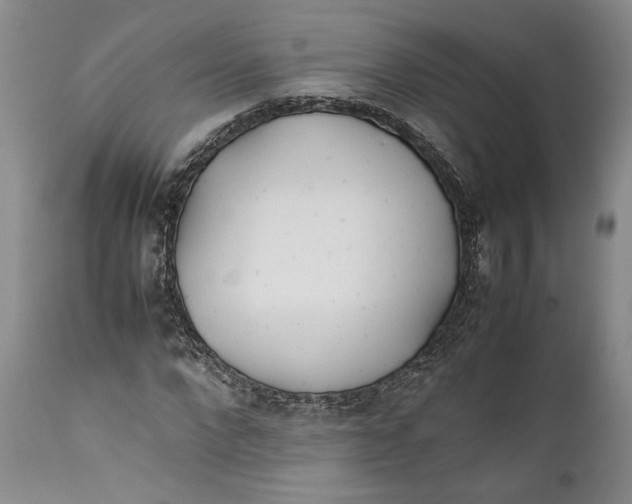X0000112370872200909101319