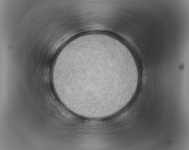 X0000112370873200909101319